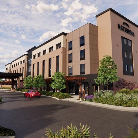 Hotel Katerina Chico Dış mekan fotoğraf